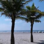 img-20190129-wa0019-largejpg